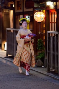 菊のかんざし　祗園甲部舞妓　佳つ智さん